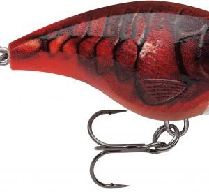 BX BRAT RAPALA