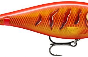X-RAP HAKU RAPALA