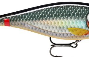 X-RAP HAKU RAPALA