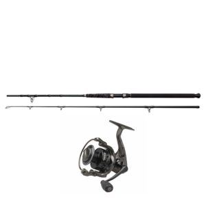 Ensemble Silure "posé" BLACK HEAVY DUTY 3m QUICK 2 8000 MADCAT