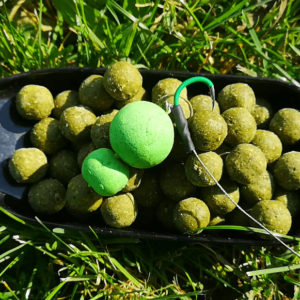 Appât Silure POP UP 24mm THON /FOIE AC CARPE BAITS