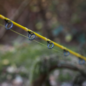 Canne Silure Solid Fun Yellow 170 BLACK CAT