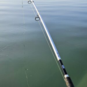 Canne Silure White Pellet MADCAT nouveauté 2024