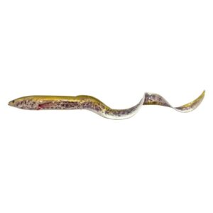 Leurre Silure Anguille Real EEL 30cm SAVAGE GEAR