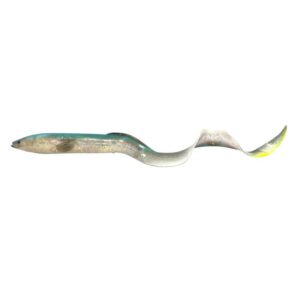 Leurre Silure Anguille Real EEL 30cm SAVAGE GEAR