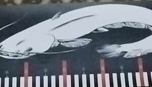 Toise Carnassier 25/150cm BIGSILURICAT