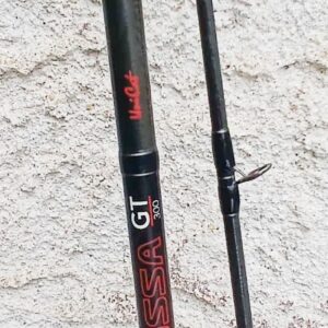 Canne Silure Colossa GT 300 UNICAT